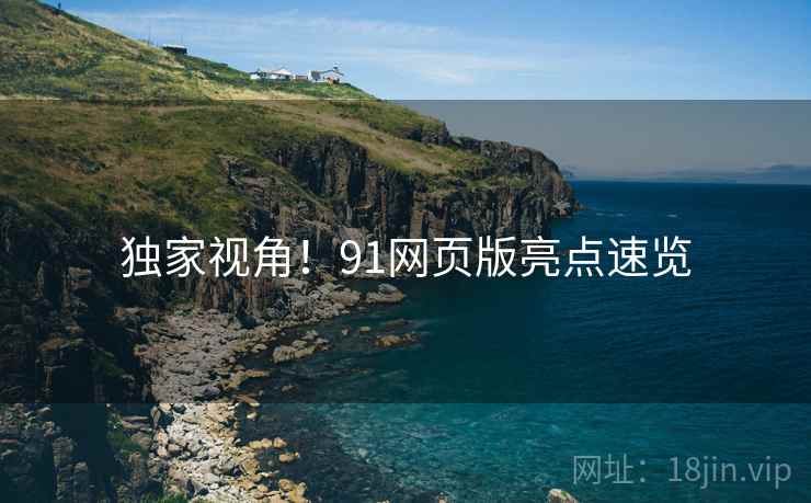 独家视角！91网页版亮点速览