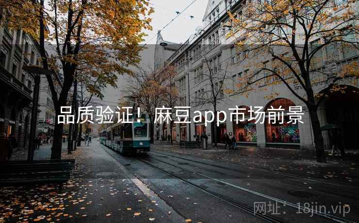 品质验证！麻豆app市场前景