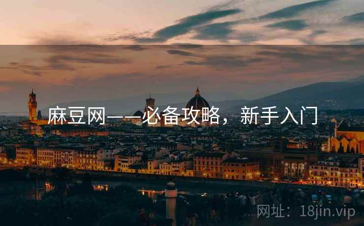 麻豆网——必备攻略，新手入门