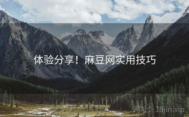 体验分享！麻豆网实用技巧