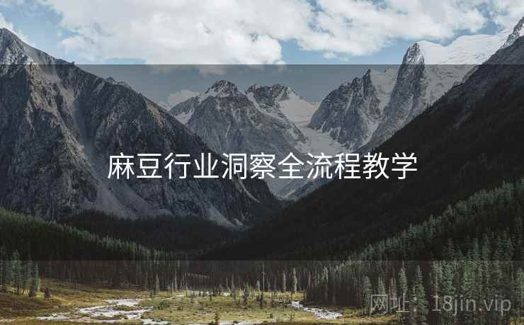 麻豆行业洞察全流程教学