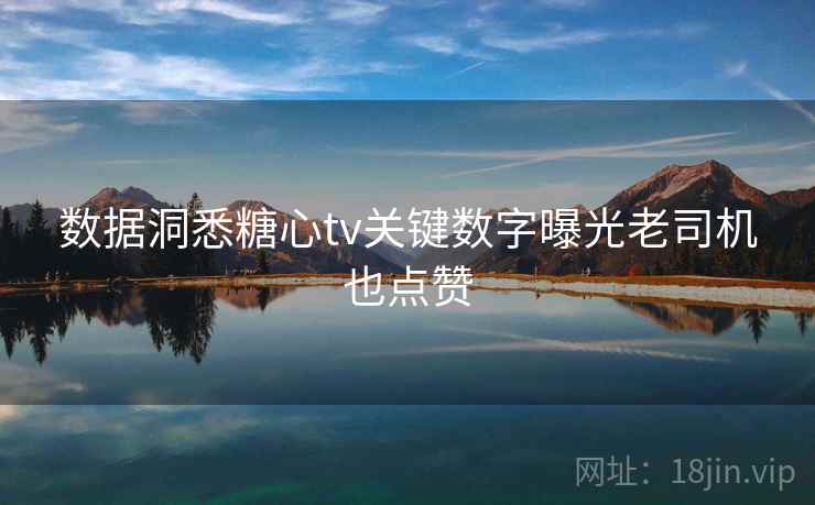 数据洞悉糖心tv关键数字曝光老司机也点赞