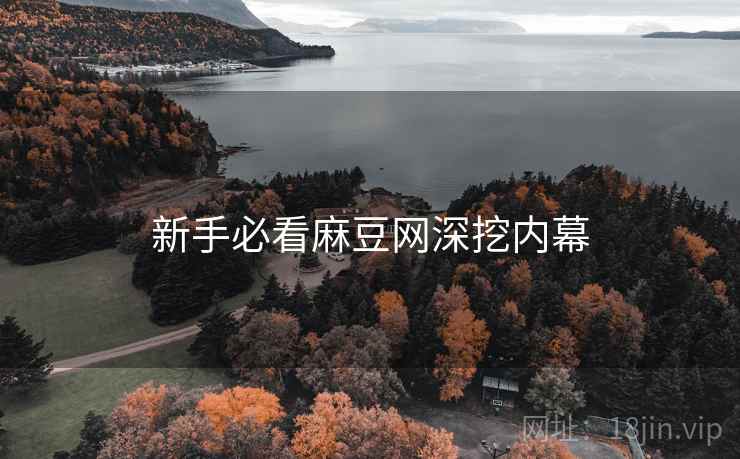 新手必看麻豆网深挖内幕