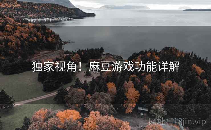独家视角！麻豆游戏功能详解