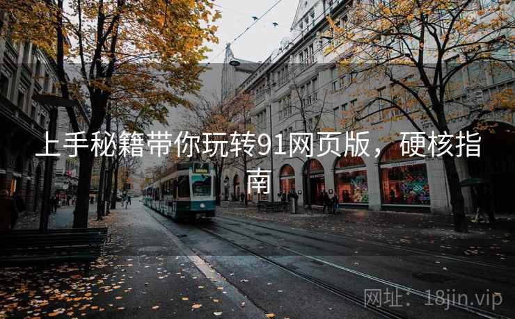 上手秘籍带你玩转91网页版，硬核指南