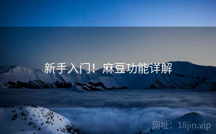 新手入门！麻豆功能详解