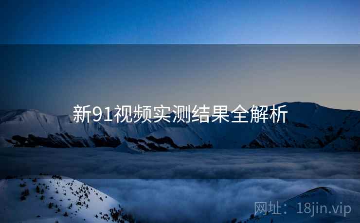 新91视频实测结果全解析