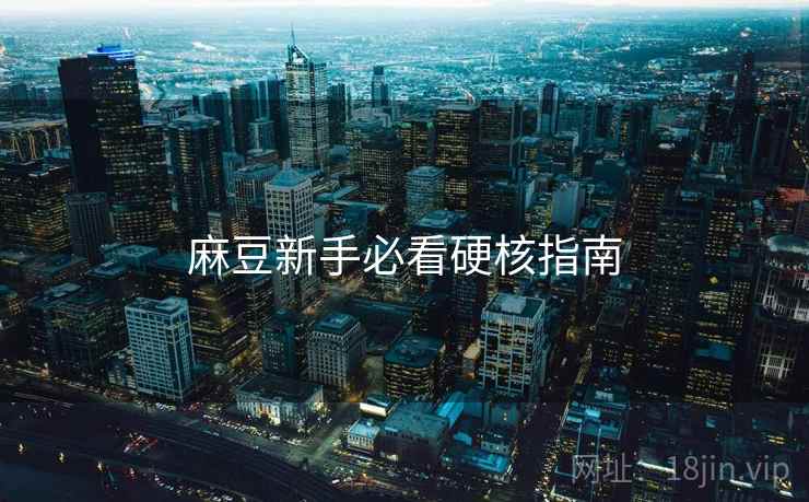 麻豆新手必看硬核指南