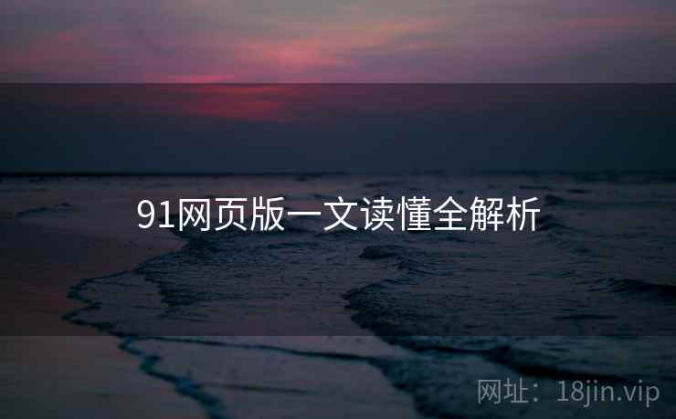91网页版一文读懂全解析